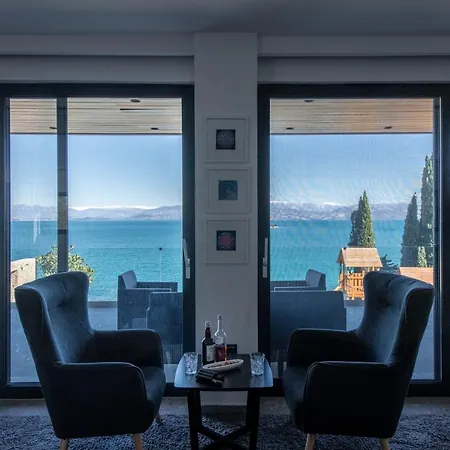 Blueline * Alikész Potamú